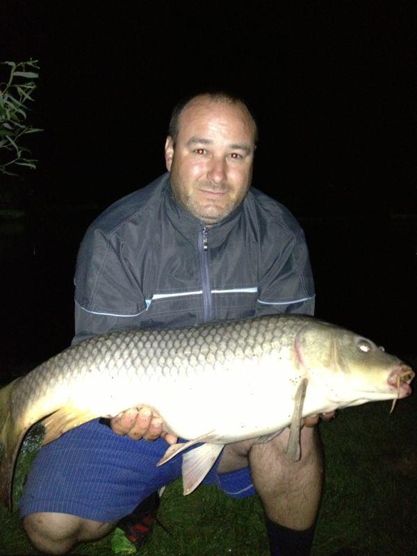 pestisori de aur - img-20130503-wa0001.jpg